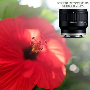 TAMRON - ＴＡＭＲＯＮ　Ｅ２４ｍｍ　Ｆ２．８ＤＩ　Ⅲ　ＯＳＤ（Ｆ０５１ＳＦ） 24mm Wide-Angle Lens for Sony E-Mount Mirrorless Cameras